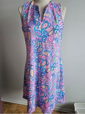 Sleeveless Paisley Shift Dress in Pink and Blue